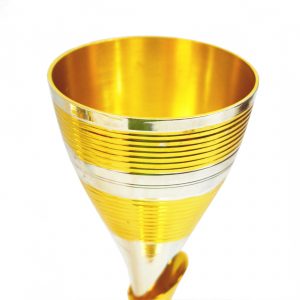 Antikcart Vintage Globet Wine Glass Set- glass close view