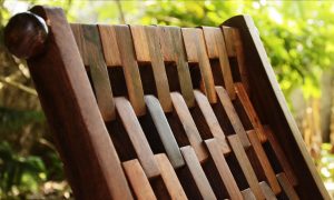 Antikcart Cozy Sheesham wood Foldable Vintage Chairs