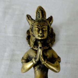 Antikcart Brass Nagkanyaka Door Handle Vintage Interior view