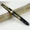 fountain pen eyedropper