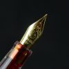 Fountain pen Wingsung demonstrator fountain pen - Image 3
