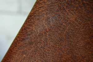 Leather pen cse
