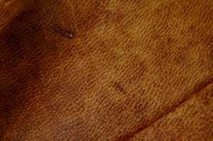 Leather pen cse