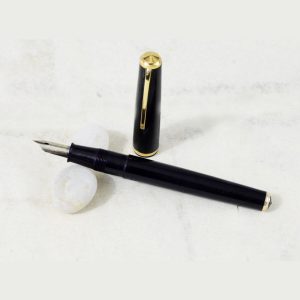 Pilot Vintage Eyedropper premium fountain pen - Type 4 F nib