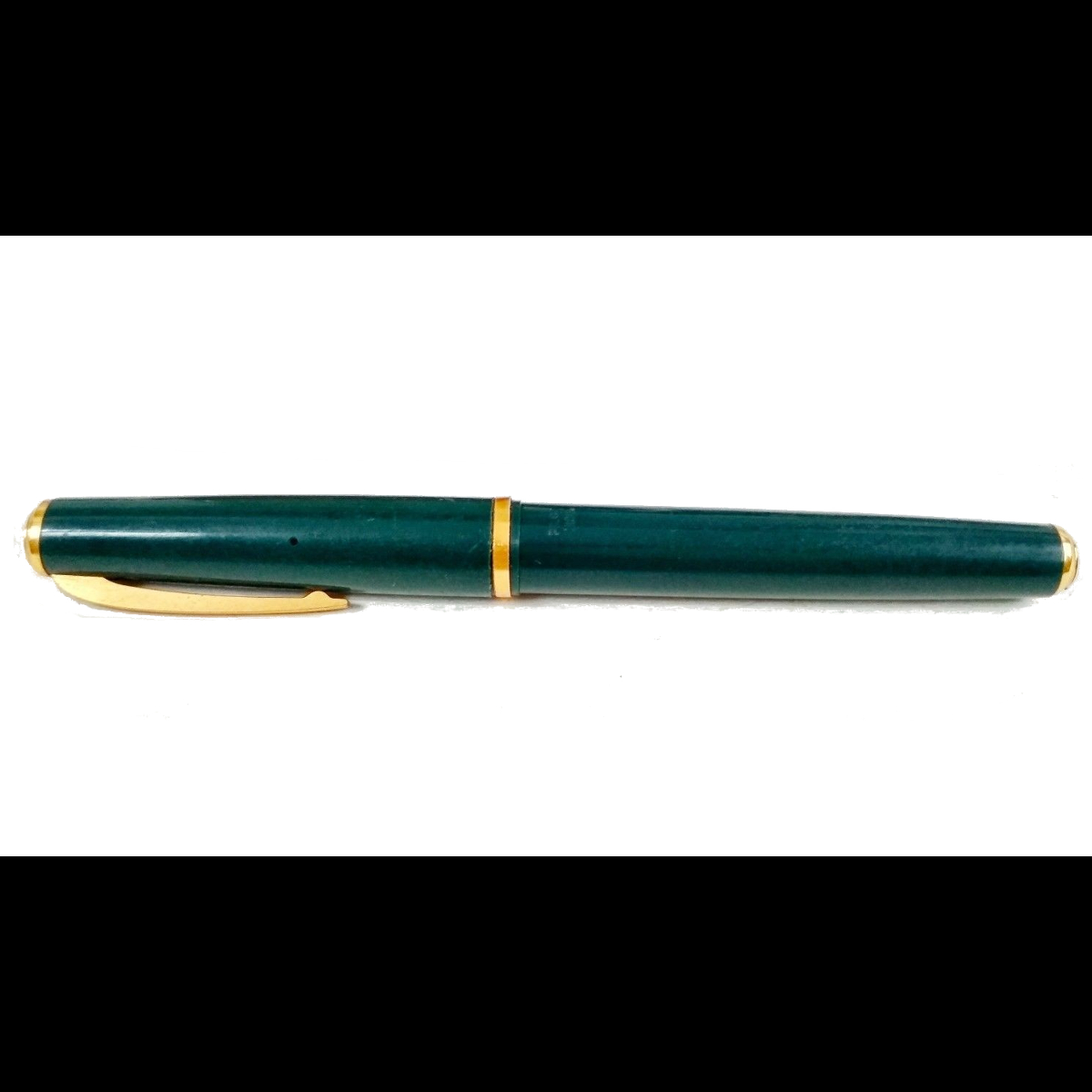 fountain pen pilot eyedropper