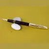 wingsung triumph fountain pen