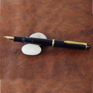 camlin premier piston pen