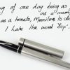 Vintage sheaffer targa fountain pen 1001 Fude calligraphy  M nib - Image 5