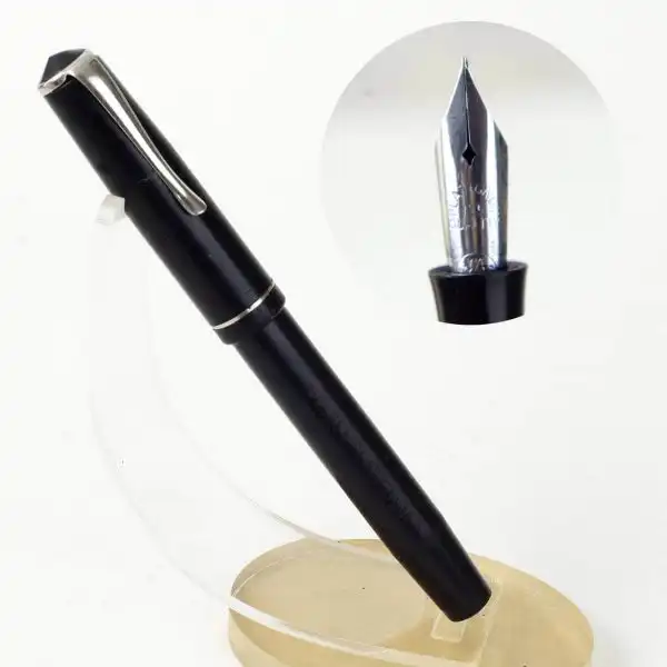 golden platignum fountain pen