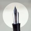 vintage golden platignum lever filler fountain pen with steel M Nib - Image 4
