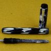 vintage platignum lever  filler fountain pen celluloid barrel with  F Nib - Image 4