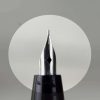 Vintage golden platignum lever filler fountain pen steel F nib - Image 5