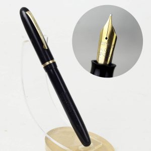 Watermans Champion 501