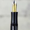 Senator President piston filler  fountain pen iridium dualtone M nib - Image 5