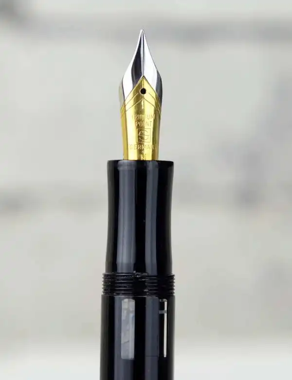 Senator President piston filler  fountain pen iridium dualtone M nib - Image 5