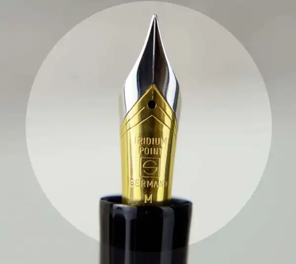 Senator President piston filler  fountain pen iridium dualtone M nib - Image 8