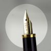 Pilot Namiki Celemo fountain pen - 14K solid gold  F nib - Image 7