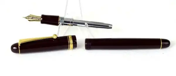 Vintage Pilot Custom 74 burgundy  fountain pen -  14K 585 solid gold M nib - Image 4