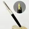 platinum fountain pen
