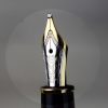 Montblanc Meisterstück 144 Piston converter fountain pen 14K gold dualtone B nib - Image 11