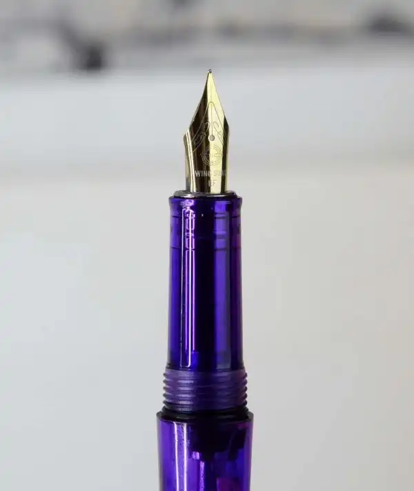 wing sung demonstrator vaac filler fountain pen with Golden Fine nib - Image 3