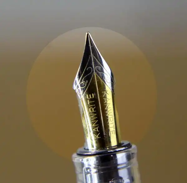 wingsung demonstrator vaac filler fountain pen with full flex Fine nib - Image 4