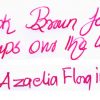 Krishna Ink Azaelia flora fountain pen ink - 20 ml - Image 4