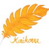 Krishna Ink kanikonna fountain pen ink - 20 ml - Image 3
