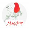 Krishna Ink Mandara fountain pen ink - 20 ml - Image 3