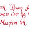 Krishna Ink Mandara fountain pen ink - 20 ml - Image 5