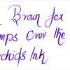 Krishna Ink Orchids fountain pen ink - 20 ml - Image 4
