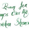 Krishna Ink shamrock fountain pen ink - 20 ml - Image 3
