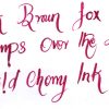 Krishna Ink Wild cherry fountain pen ink - 20 ml - Image 5