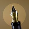 Kanwrite Heritage Orange barrel piston filler fountain pen  - Full Flex Medium nib - Image 5