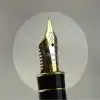 Parker sonnet fougere sterling silver fountain pen and ballpoint set 18K solid gold M nib - Image 10