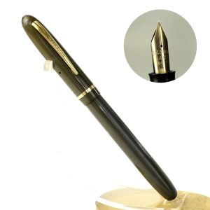 waterman champion 501