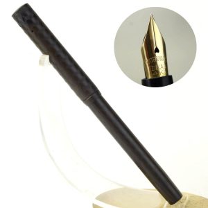 watermans ideal eyedropper