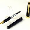 Vintage Pilot pig  fountain pen -  23K gold plated F nib - NOS - Image 2