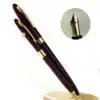 sheaffer snorkel saragota