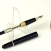 Montblanc Meisterstück 144  fountain pen 14K gold dualtone M nib - Mint - Image 2