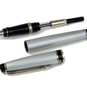 waterman-expert-city-SS-fountain-pen