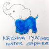 Krishna lyrebird water saphire fountain pen ink - 20 ml - Image 2