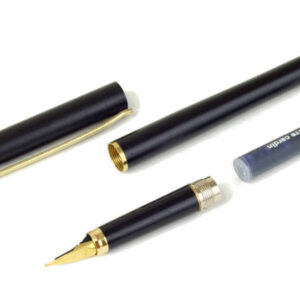 vintage-elysee-fountain-pen-plated-nib