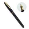 watermans W2