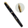 Vintage wyvern 81 perfect pen lever filler fountain pen - 14K gold flex M nib - Used