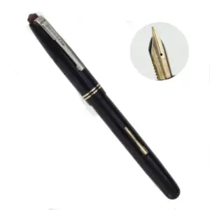watermans 503 fountain pen