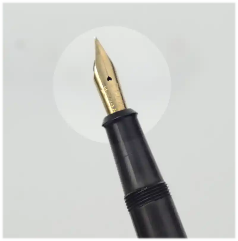onoto plunger filler fountain pen