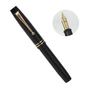 onoto 5123 fountain pen