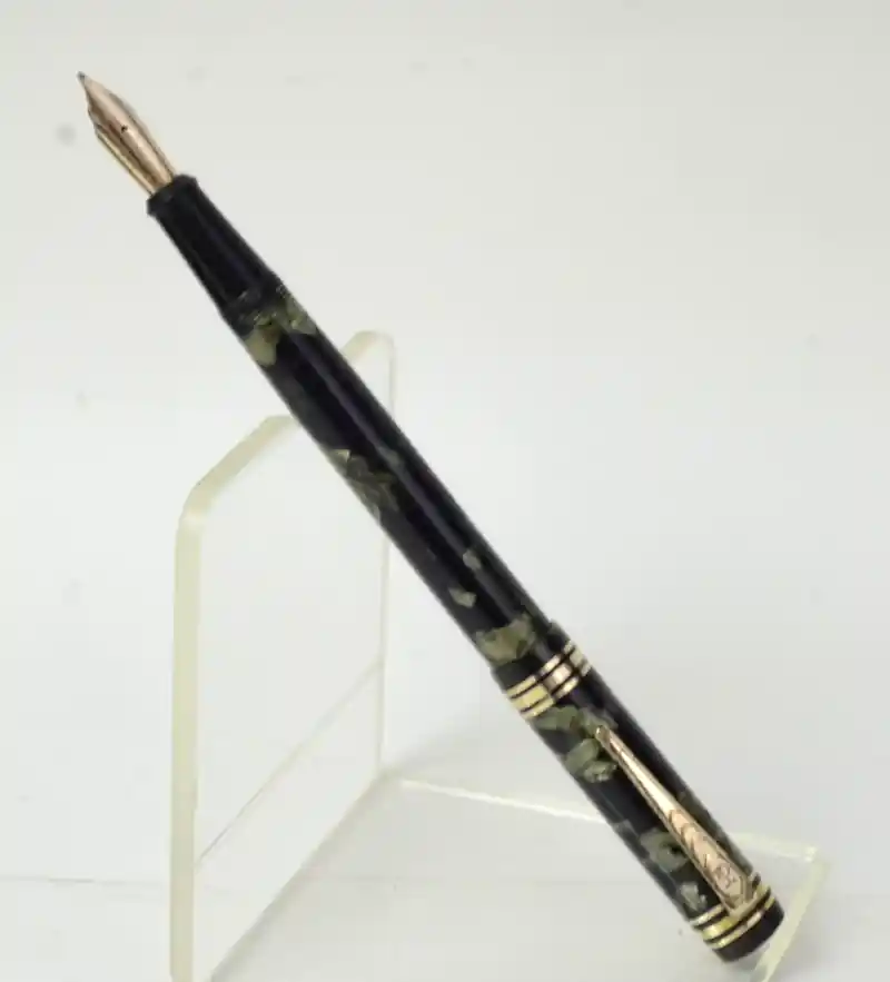 onoto plunger fountain pen gold nib