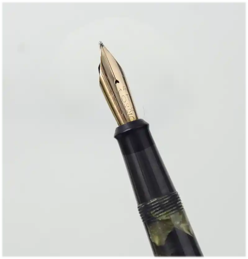 onoto plunger marbled fountain pen